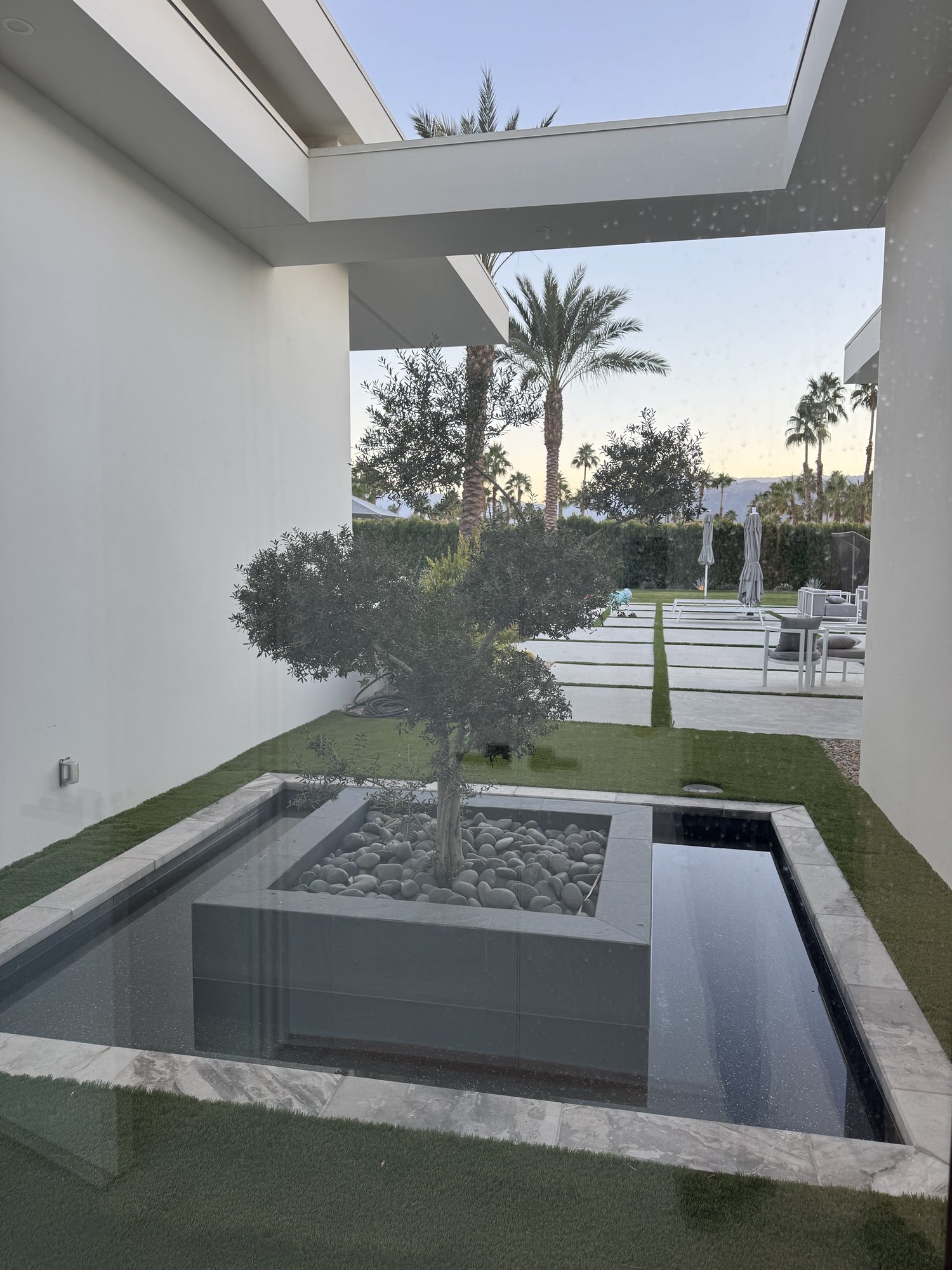 Courtyard water feature with olive tree, Rancho Mirage estate