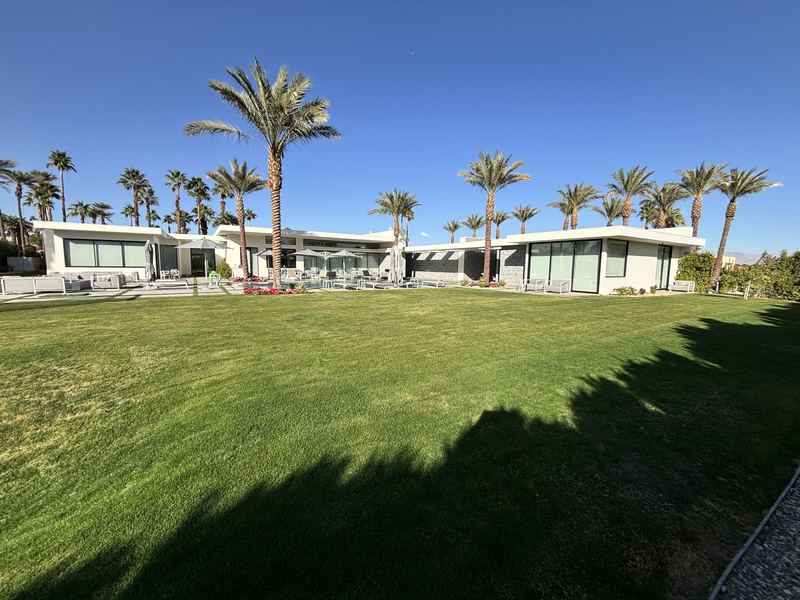 Lawn and modern estate with palms